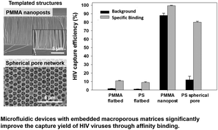 Graphical abstract: Microfluidic devices with templated regular macroporous structures for HIV viral capture