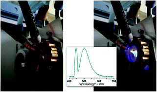 Graphical abstract: Simultaneous acquisition of infrared, fluorescence and light scattering spectra of proteins: direct evidence for pre-fibrillar species in amyloid fibril formation