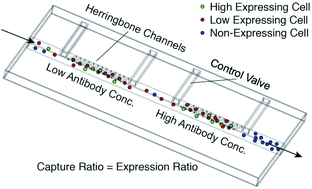 Graphical abstract: Microfluidic cell surface antigen expression analysis using a single antibody type