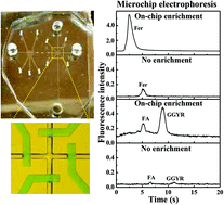 Graphical abstract: Development of an integrated microfluidic solid-phase extraction and electrophoresis device