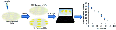 Graphical abstract: Pesticide analysis using nanoceria-coated paper-based devices as a detection platform