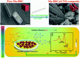 Graphical abstract: Carbon nanotubes implanted manganese-based MOFs for simultaneous detection of biomolecules in body fluids