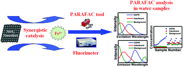 Graphical abstract: Label-free fluorescent catalytic biosensor for highly sensitive and selective detection of the ferrous ion in water samples using a layered molybdenum disulfide nanozyme coupled with an advanced chemometric model