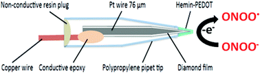 Graphical abstract: Electrochemical detection of peroxynitrite using hemin–PEDOT functionalized boron-doped diamond microelectrode