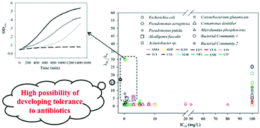 Graphical abstract: The importance of lag time extension in determining bacterial resistance to antibiotics