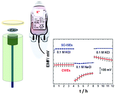 Graphical abstract: Electropolymerized hydrophobic polyazulene as solid-contacts in potassium-selective electrodes