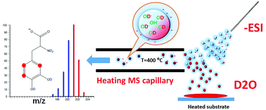 Graphical abstract: High desolvation temperature facilitates the ESI-source H/D exchange at non-labile sites of hydroxybenzoic acids and aromatic amino acids