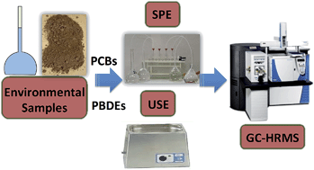 Graphical abstract: Simultaneous and highly sensitive determination of PCBs and PBDEs in environmental water and sediments by gas chromatography coupled to high resolution magnetic sector mass spectrometry