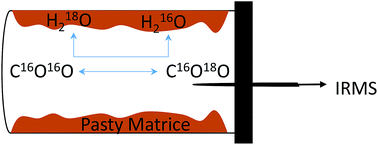 Graphical abstract: Direct determination of the oxygen 18 stable isotope ratio of in situ water contained in pasty matrices