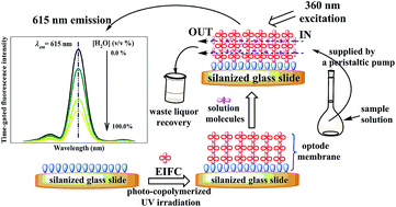 Graphical abstract: An optical-fiber sensor based on time-gated fluorescence for detecting water content in organic solvents