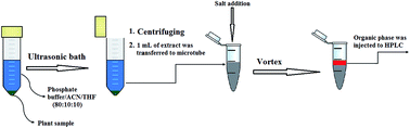 Graphical abstract: Ultrasound and salt-assisted liquid–liquid extraction as an efficient method for natural product extraction