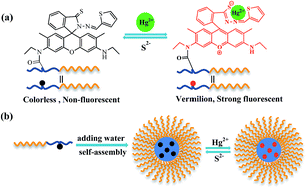 Graphical abstract: An Hg2+-selective chemosensor based on the self-assembly of a novel amphiphilic block copolymer bearing rhodamine 6G derivative moieties in purely aqueous media