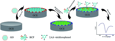 Graphical abstract: Green synthesis of a bromocresol purple/graphene composite and its application in electrochemical determination of 2,4,6-trichlorophenol
