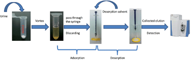 Graphical abstract: Simple and rapid analysis of muscarine in human urine using dispersive micro-solid phase extraction and ultra-high performance liquid chromatography-high resolution mass spectrometry