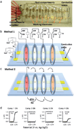 Graphical abstract: Two approaches for addressing electrochemical electrode arrays with reduced external connections