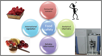 Graphical abstract: Food safety: how analytical chemists ensure it