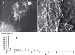 Graphical abstract: A novel electrochemical sensor for non-ergoline dopamine agonist pramipexole based on electrochemically reduced graphene oxide nanoribbons