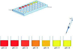 Graphical abstract: Solution scanometry, a new method for determination of acidity constants of indicators