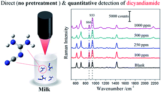Graphical abstract: Direct and quantitative detection of dicyandiamide (DCD) in milk using surface-enhanced Raman spectroscopy