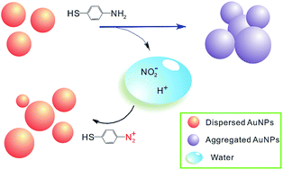 Graphical abstract: Facile colorimetric detection of nitrite based on anti-aggregation of gold nanoparticles