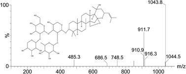 Graphical abstract: Development and validation of an UPLC-MS/MS method for determination of jujuboside B in rat plasma and its application in pharmacokinetic and bioavailability studies