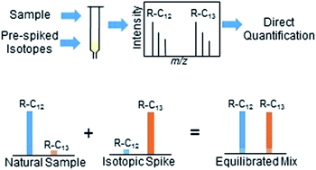 Graphical abstract: Sensitive and stable pre-calibrated solid-phase extraction columns for environmental and forensic quantification using isotope dilution mass spectrometry