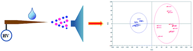 Graphical abstract: Rapid assessment of the quality of Qingkailing products using wooden-tip electrospray ionization mass spectrometry combined with multivariate statistical analysis