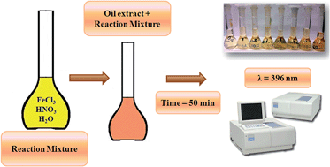 Graphical abstract: A novel iron oxide nanoparticle-based method for the determination of the antioxidant capacity of rapeseed oils at various stages of the refining process
