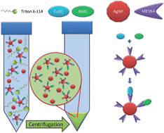 Graphical abstract: Determination of very low amounts of free copper and nickel ions in beverages and water samples using cloud point extraction assisted by silver nanoparticles