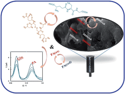 Graphical abstract: Construction of a nanocomposite sensor by the modification of a carbon-paste electrode with reduced graphene oxide and a hydroquinone derivative: simultaneous determination of glutathione and penicillamine