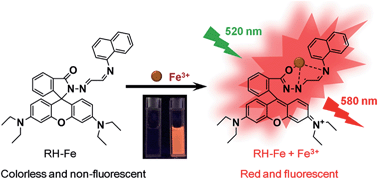 Graphical abstract: A new rhodamine-based chemosensor for turn-on fluorescent detection of Fe3+