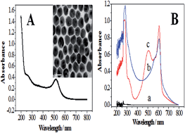 Graphical abstract: A label-free electrochemical immunosensor based on poly(thionine)–SDS nanocomposites for CA19-9 detection