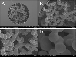 Graphical abstract: Preparation and application of a novel mixed-mode monolith for reversed-phase and per aqueous capillary electrochromatography