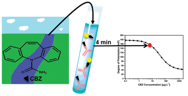 Graphical abstract: Fluorescence polarization immunoassays for carbamazepine – comparison of tracers and formats