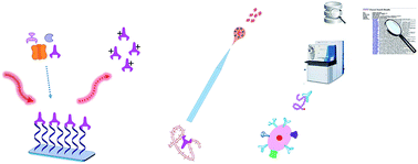 Graphical abstract: Oligonucleotide aptamers: emerging affinity probes for bioanalytical mass spectrometry and biomarker discovery