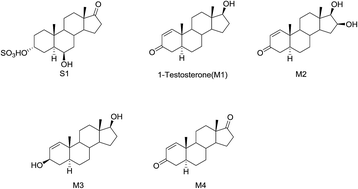 Graphical abstract: A new potential biomarker for 1-testosterone misuse in human urine by liquid chromatography quadruple time-of-flight mass spectrometry