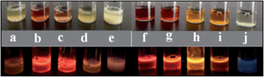 Graphical abstract: Rapid, selective, and ultrasensitive fluorescence ratiometric detection of sulfide ions using dual-emitting BSA–erbium(iii)-modulated gold–silver bimetallic nanoclusters