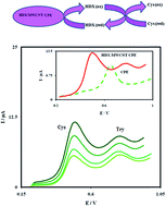 Graphical abstract: Developing a nanostructure electrochemical sensor for simultaneous determination of cysteine and tryptophan