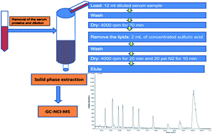 Graphical abstract: Simultaneous determination of trace polybrominated diphenyl ethers in serum using gas chromatography-negative chemical ionization mass spectrometry with simplified sample preparation