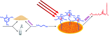 Graphical abstract: A homogeneous surface-enhanced Raman scattering platform for ultra-trace detection of trinitrotoluene in the environment