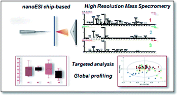 Graphical abstract: Development of nanoelectrospray high resolution isotope dilution mass spectrometry for targeted quantitative analysis of urinary metabolites: application to population profiling and clinical studies