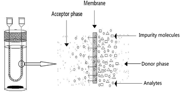 Graphical abstract: Hollow fiber-protected liquid-phase microextraction followed by high performance liquid chromatography for simultaneously screening multiple trace level β-blockers in environmental water samples