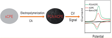 Graphical abstract: A catechin-modified carbon paste electrode for electrocatalytic determination of neurotransmitters