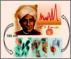 Graphical abstract: Raman spectroscopy and cytopathology of oral exfoliated cells for oral cancer diagnosis