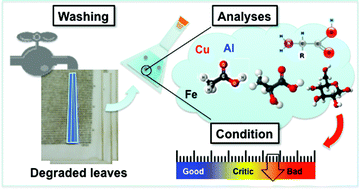 Graphical abstract: Degradation by-products of ancient paper leaves from wash waters