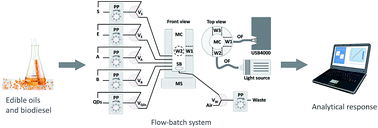 Graphical abstract: In-line single-phase extraction for direct determination of total iron in oils using CdTe quantum dots and a flow-batch system