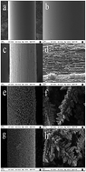 Graphical abstract: Self-assembly of mercaptoundecanol on cedar-like Au nanoparticle coated stainless steel fiber for selective solid-phase microextraction