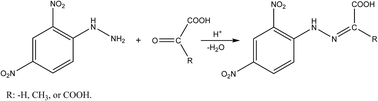 Graphical abstract: Determination of ketoacids in drinking water by DNPH derivatization and LC-ESI-MS/MS