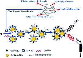 Graphical abstract: Application of silver nanoparticles decorated with β-cyclodextrin in determination of 6-mercaptopurine by surface-enhanced Raman spectroscopy