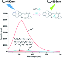 Graphical abstract: A new highly Zn2+-selective and “off–on” fluorescent chemosensor based on the pyrene group